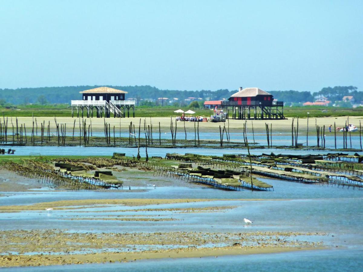 Apartment Les Tamaris By Interhome Arcachon Dış mekan fotoğraf